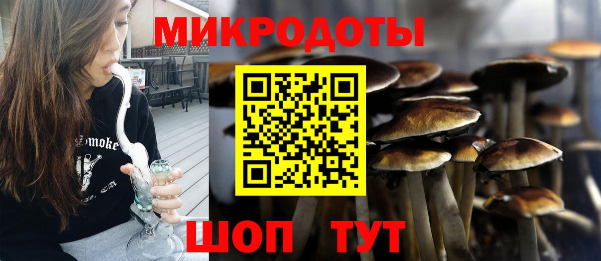 Галлюциногенные грибы Psilocybe  Псилоцибиновые грибы Cubensis  Вход с VPN  Вышний Волочёк 